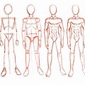 Body Shapes Drawing Male