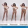 Endomorph Mesomorph Ectomorph Woman Body