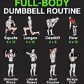 Full Body Dumbbell Workout Men