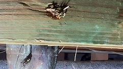 repairing a 1/2” copper leak in a crawlspace | copper tubing