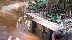 Girl Takes an Unexpected Dip and Laughs It Off