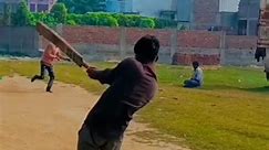 tennis cricket shot 🏏 #viral #tenishball #cricketlover #ytshorts #crickettechnique