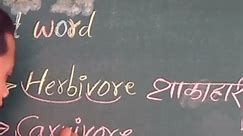 herbivore and carnivore and omnivore