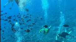 Snorkeling & Scuba Diving at Molokini Crater Hawaii Maui from a Yacht