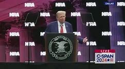 Trump stops NRA speech to swat flies buzzing around him