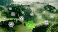 CO2 reduce.Net zero. Net zero emission ,2050, carbon neutral concept.Greenhouse gas emissions target. Climate neutral long term strategy 2050 with net zero icons on green forest landscape background.4