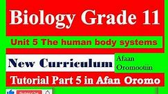New Curriculum Biology Grade 11 Unit 5 The human body systems Tutorial part 5 in Afan Oromo