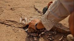 Archaeologist trying out ancient Egyptian method of granite stone cracking at unfinished obelisk historical site at stone quarries of ancient Egypt in Aswan.