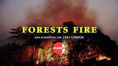 Forest Fire, also known as a... - Ensemble IAS Academy