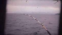 OLD MOVIE NEWFOUNDLAND GIANT TUNA FISHING TRIP 1968