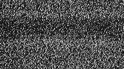 Analog TV CRT Kinescope Noise â€“ Black & White Stock Footage - Video of 1080p, grain: 35674992