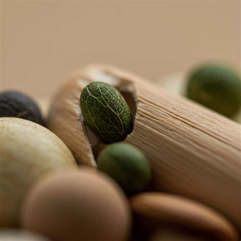 Analitik Hiyerarşi Prosesi