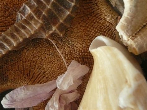 Dans le coeur des vivants, Docu - Questions de GENRE, Formation | Canal Sud