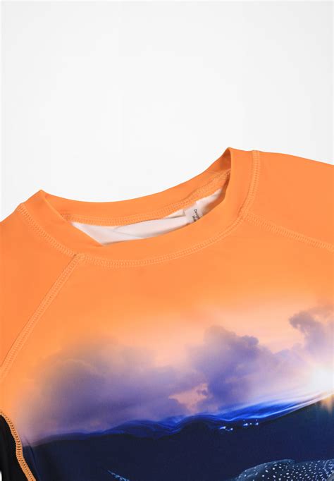 Neptune Into The Sunset | Molo