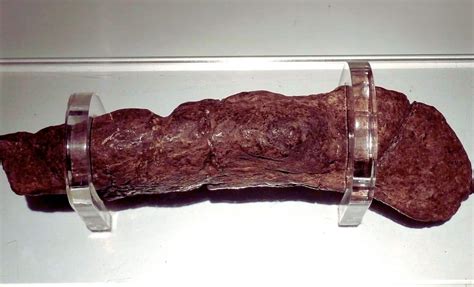 Yoyowooh nude video saw Rita's advertisement advertisement