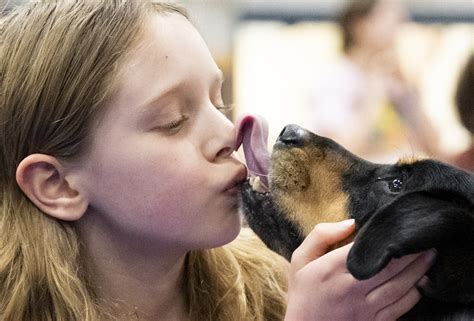 Photos: Raising the woof at the 18th VINS Dog Show in Northampton ...