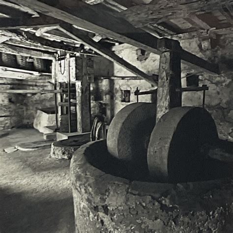 Sam Dobrow | Olive Press (2009) | MutualArt