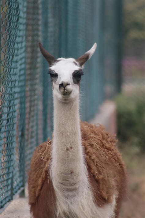 6 000+ Lamar+gatz+onlyfans+leaks banque d’images et photos libres de droit · Téléchargement ...