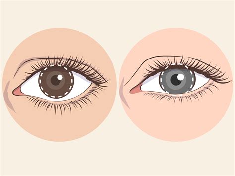 10 tipos diferentes de ojos y sus características más comunes