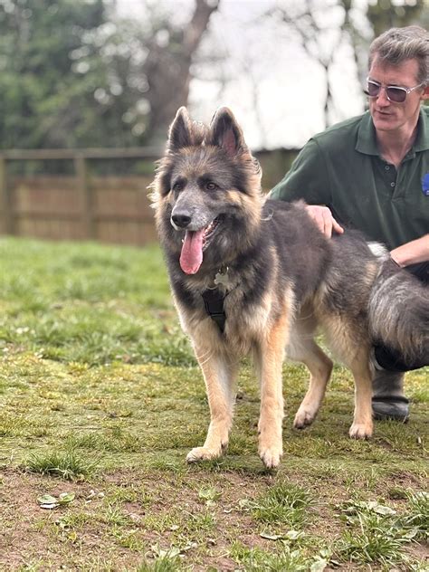 Tanzi - All Creatures Great And Small Animal Sanctuary