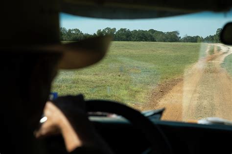 Long shot caps weekend of Breeders' Cup upsets