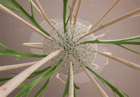 How Can Consumers Verify the Scientific Backing of Health Claims Made ...