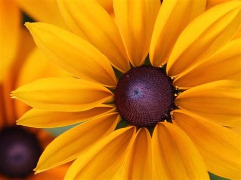 King-Tears Mortuary, Inc. License #743 | Austin TX funeral home and ...