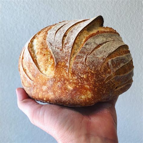 Beginners artisan sourdough bread recipe – Artofit