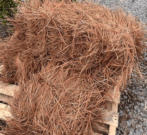 Pine Straw: Sustainable Mulch for Gardens & Landscaping
