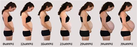 My pregnancy progression! Maternity progression pictures. Pregnancy ...