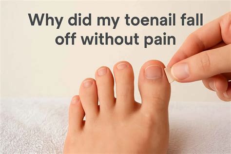 Why Did My Toenail Fall Off Painlessly? 7 Reasons Here | Credihealth