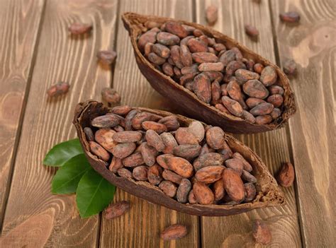 Fermented Cacao Beans: the Secret to Fine Chocolate - Cacao Adventures