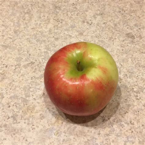 Large Honeycrisp Apple Nutrition