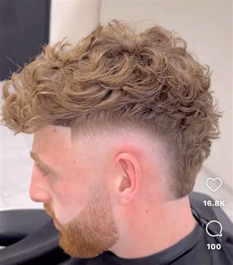 Pin by Audrey Zellers-Abegg on Hair! | Faded hair, Low fade curly hair ...