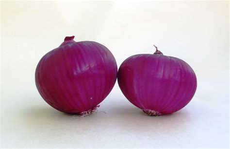 1280x1024 wallpaper | 2 purple onions | Peakpx