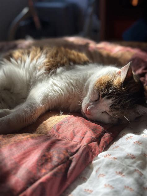 Please wish a 21st happy birthday to my sweet girl. Swipe to see her ...