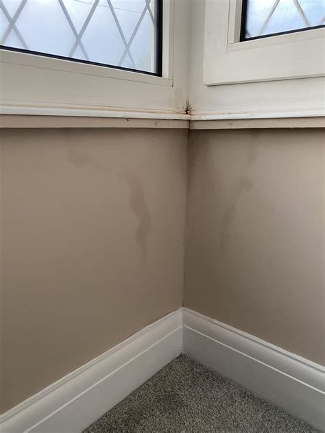 Leak from bay window wall : r/DIYUK