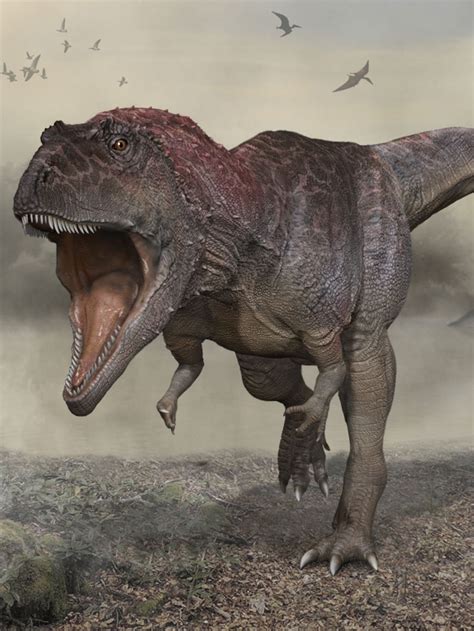Tyrannosaurus Rex Evolution Before And After