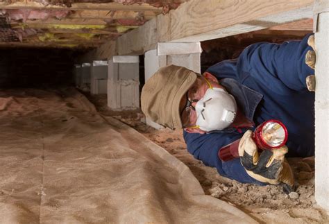 Crawl Space Mold Remediation Atlanta | Crawl Space Mold Removal