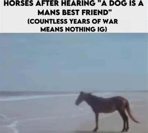 The Man Horse Meme: part man, part horse, all meme