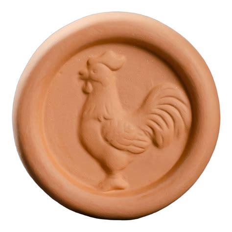 ACDANC Brown Sugar Keeper,Robust Terracotta Base Brown Sugar Saver,Food ...