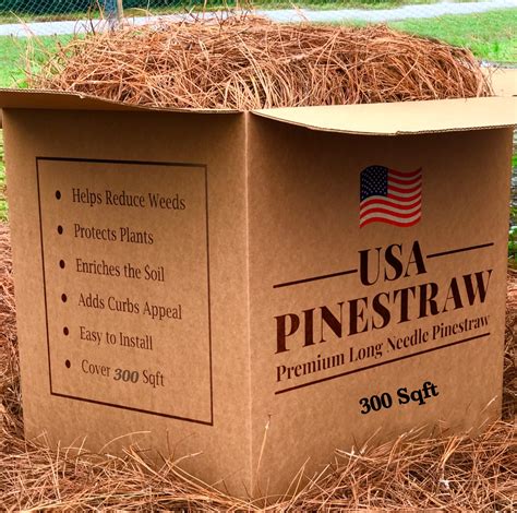 Premium USA Long Needle Pine Straw Mulch for Yard and Garden - Natural ...