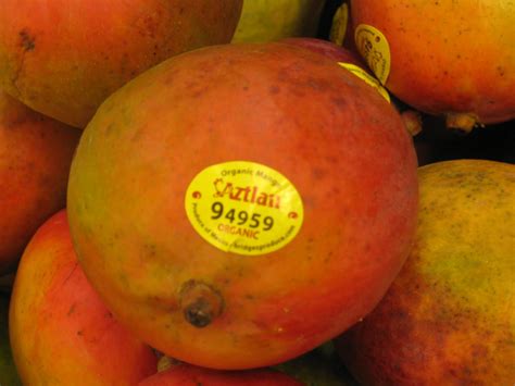 Fruit Plu Codes at Amelia Rodrigues blog