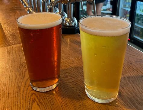 Ale vs Lager: What's the difference? | The George