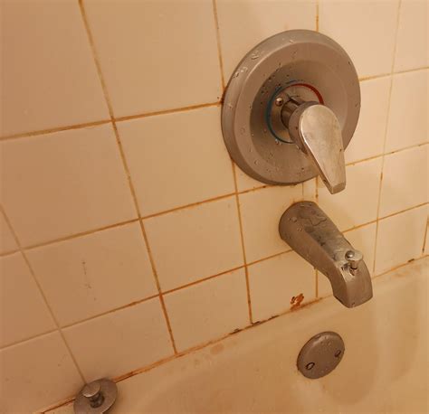 Pink Mold in Shower?