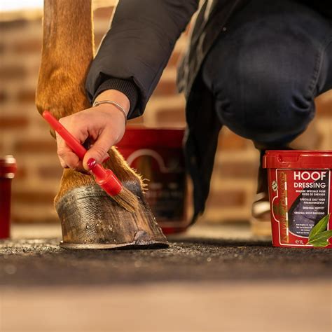 Kevin Bacon's Hoof Dressing | 1 l | Lorbeersalbe zum Schutz und ...