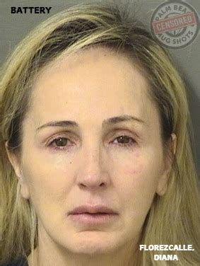 Palm - FLOREZCALLE, DIANA CLEMENCIA Arresting Agency: 01-PBSO Charges ...