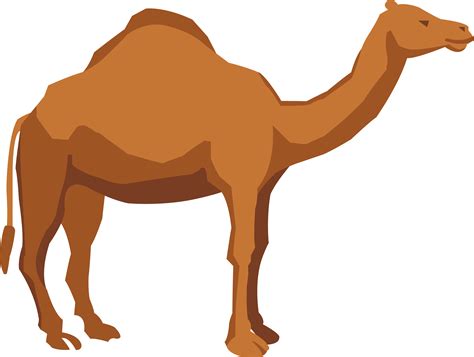 Camel Artwork, Graphics, Illustration PNG Image