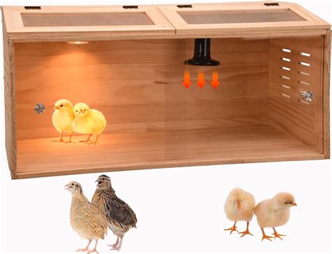 10-15 Chick brooder Box, Intelligent Brooder Box, Chick brooder Box ...