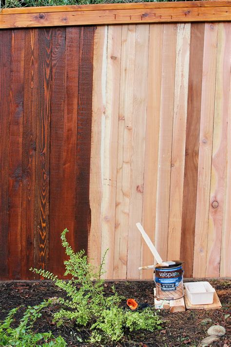 5 Tips For Staining A Fence - This Dear Casa